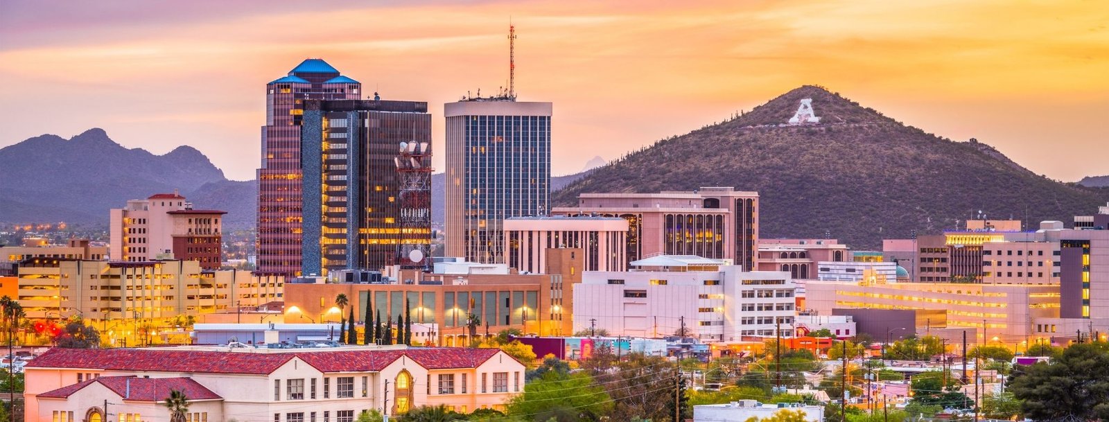 Arizona Bird Control, Bird Netting, Bird Removal