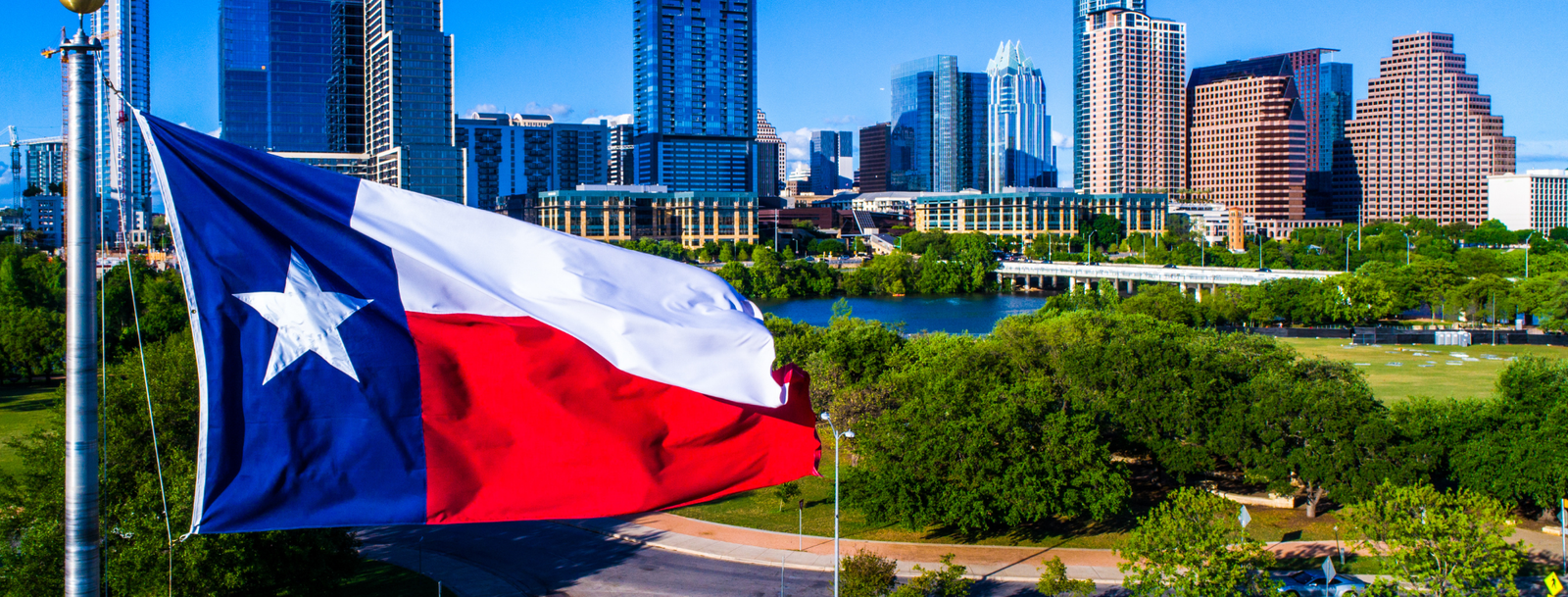 Austin, TX Bird Control, Bird Netting, Bird Removal