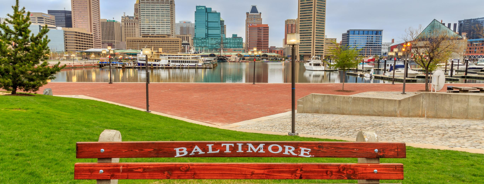 Bird Removal, Bird Control Baltimore MD