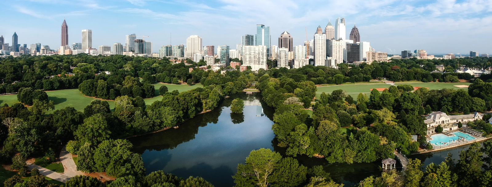 Georgia Bird Control, Bird Netting, Bird Removal