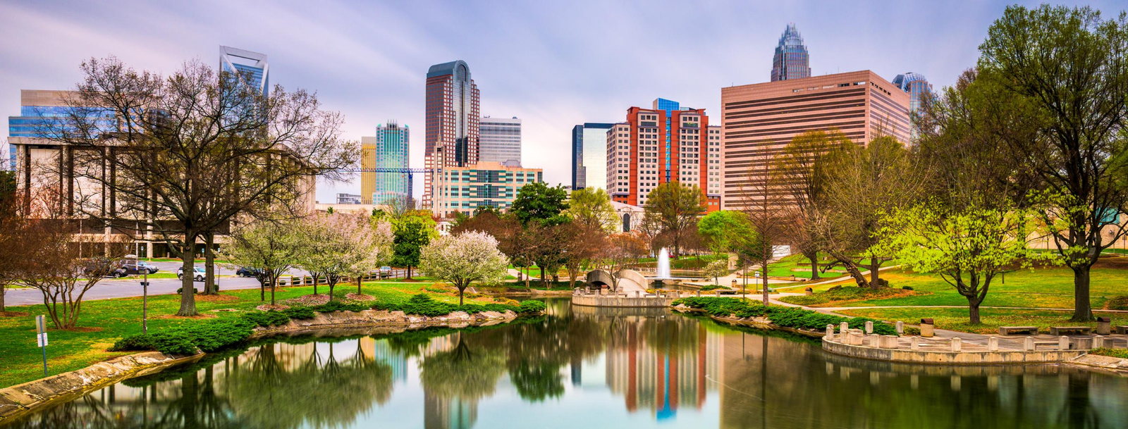 Charlotte, NC Bird Control, Bird Netting, Bird Removal