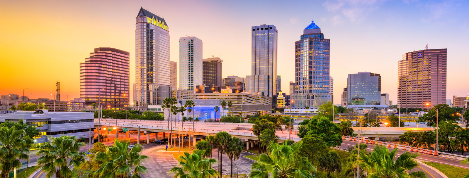 Florida Bird Control, Bird Netting, Bird Removal