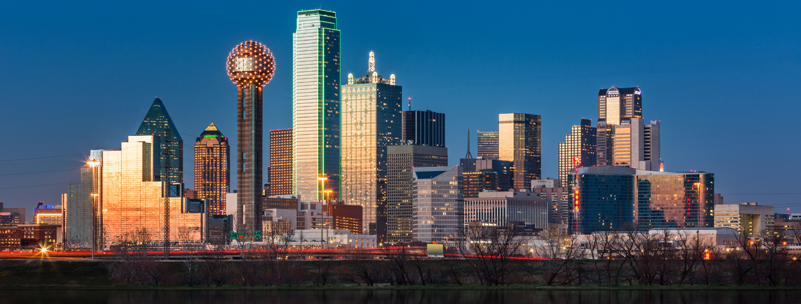 Dallas, TX Bird Control, Bird Netting, Bird Removal