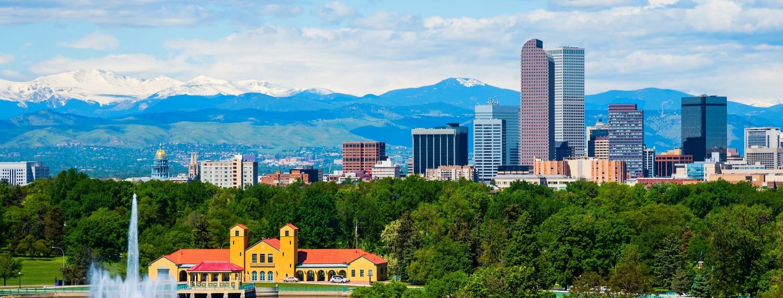 Colorado Bird Control, Bird Netting, Bird Removal