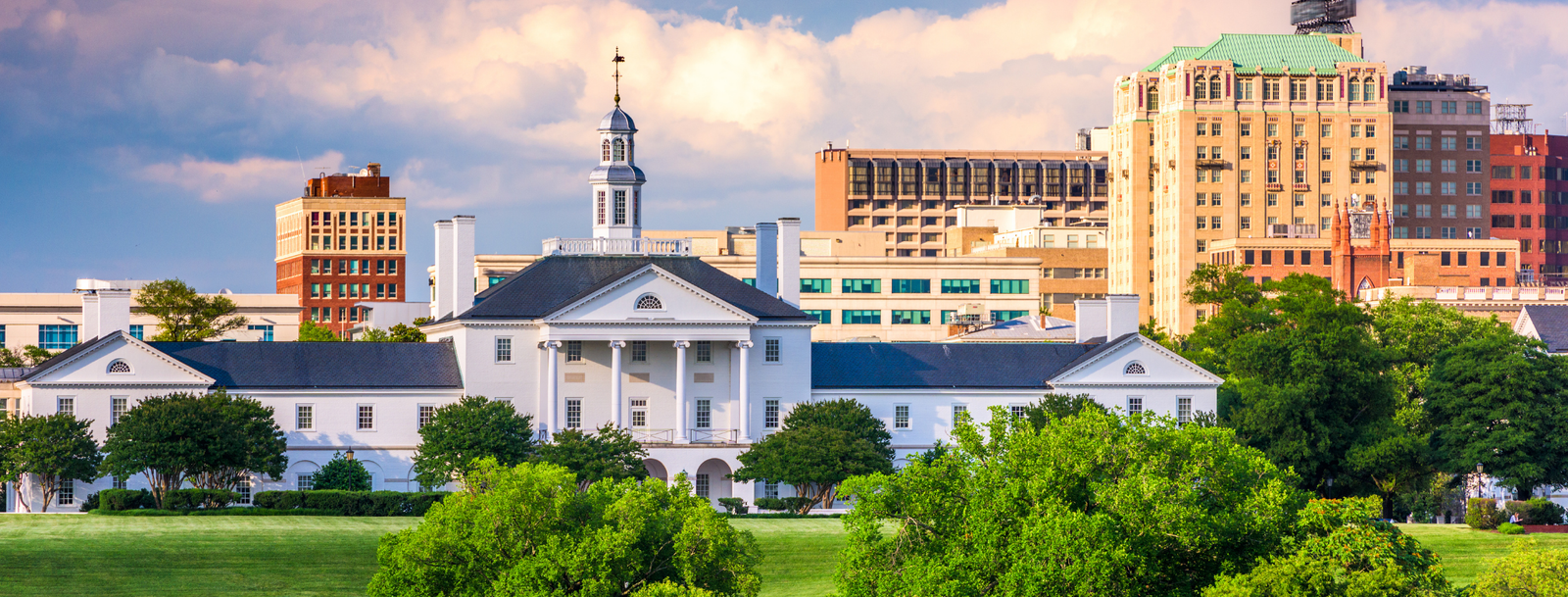 Bird Removal, Bird Control Richmond VA