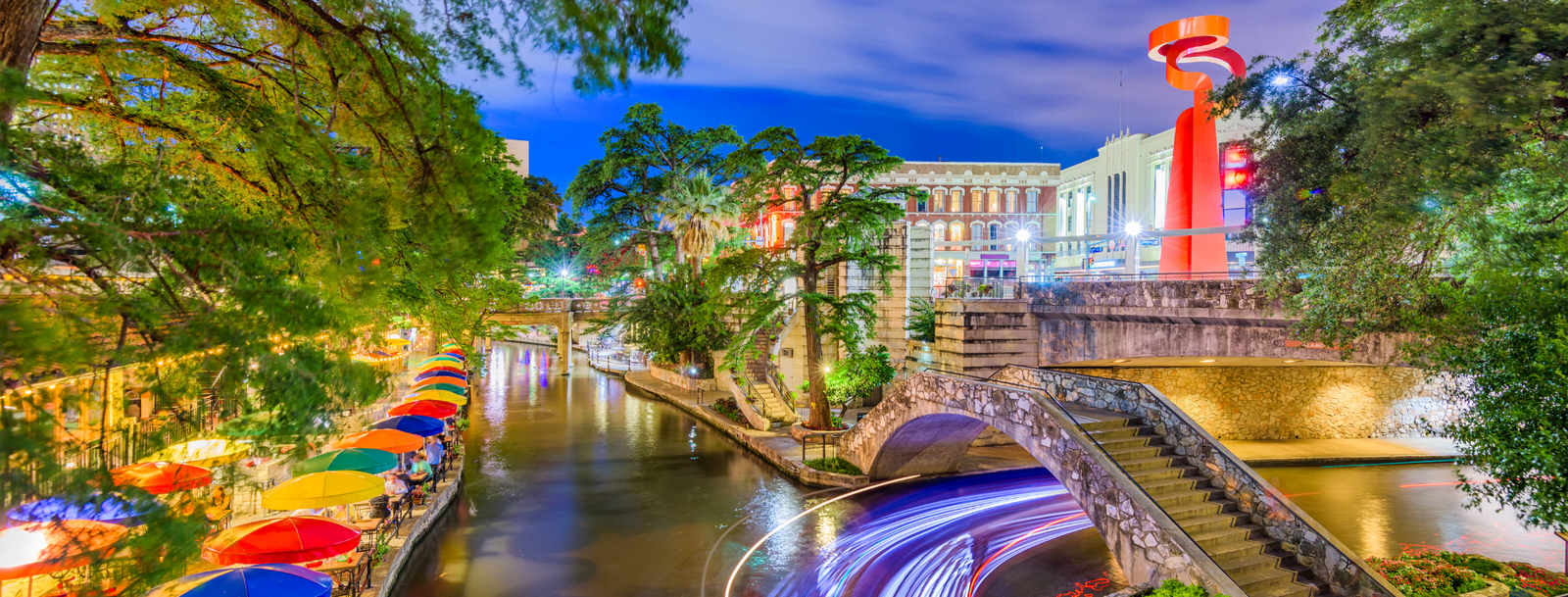 San Antonio, TX Bird Control, Bird Netting, Bird Removal