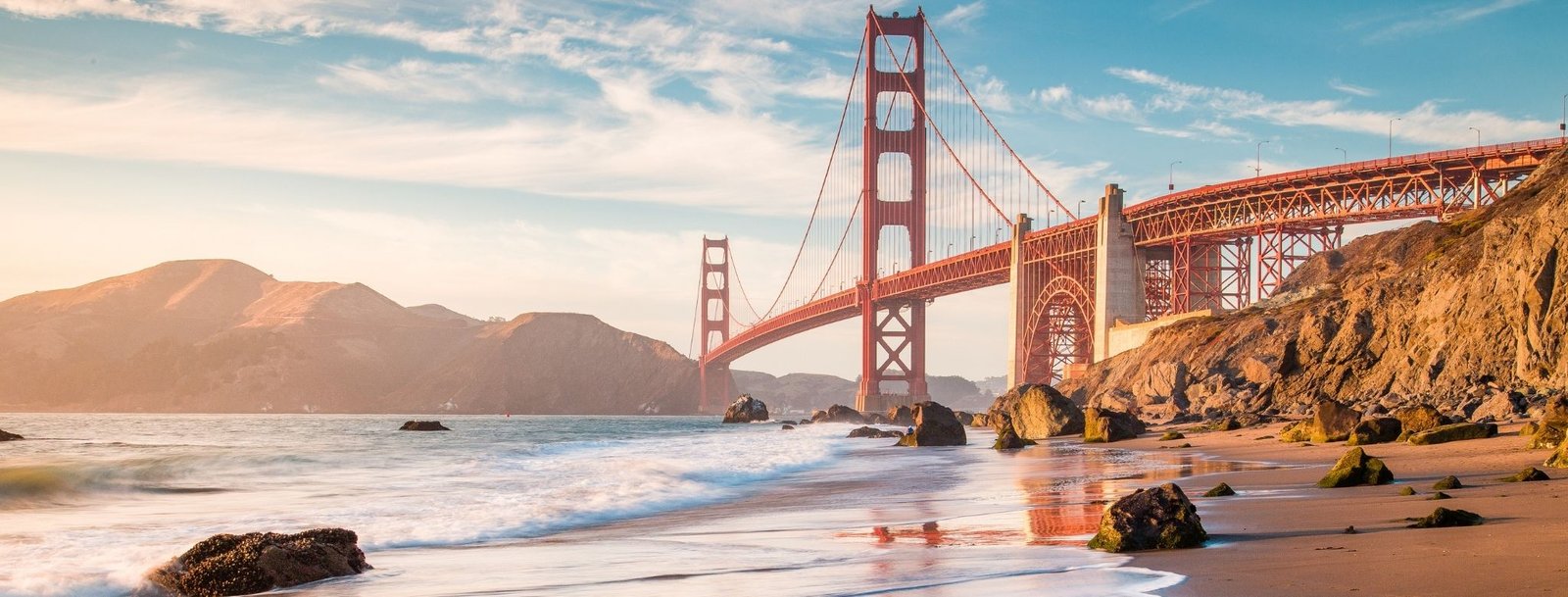 San Francisco, CA Bird Control, Bird Netting, Bird Removal