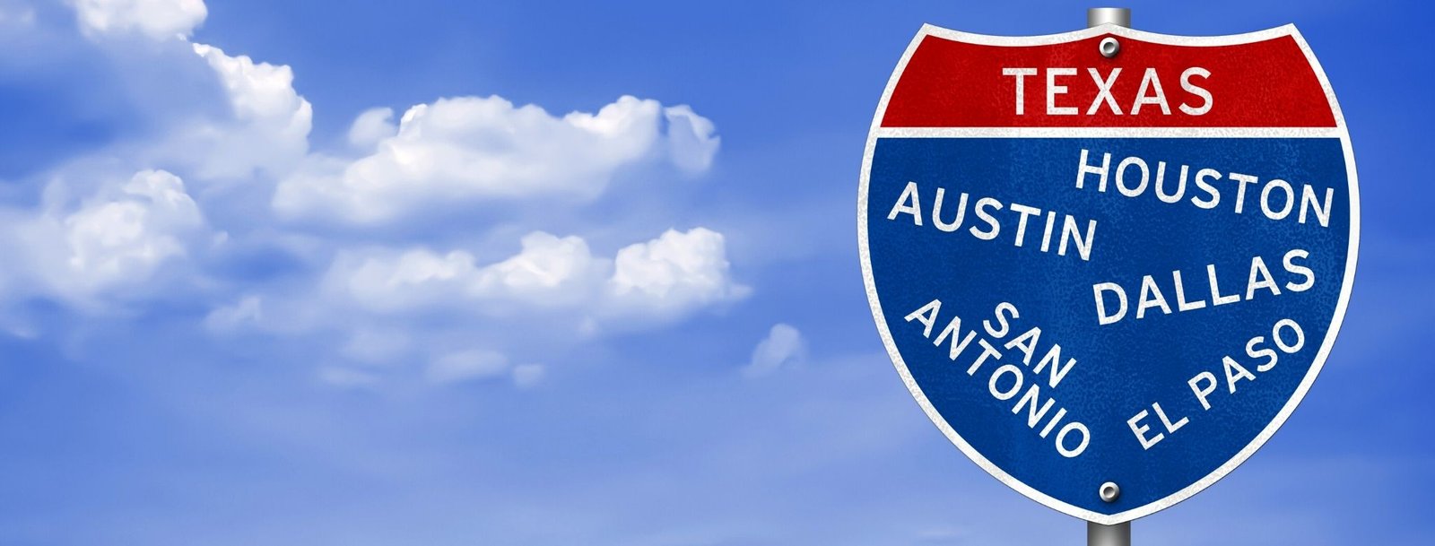 Houston, TX Bird Control, Bird Netting, Bird Removal